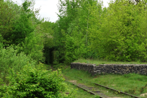 Тунель кохання, Клевань